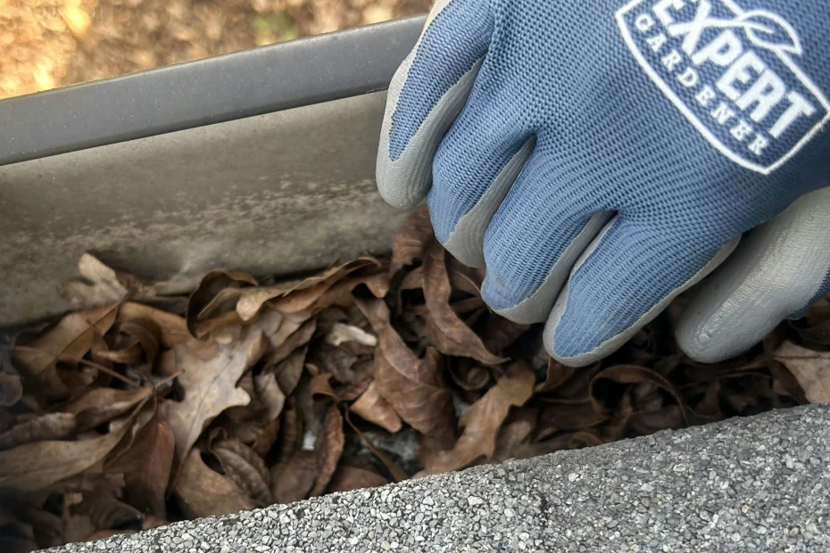 Gutter Cleaning Windsor FL