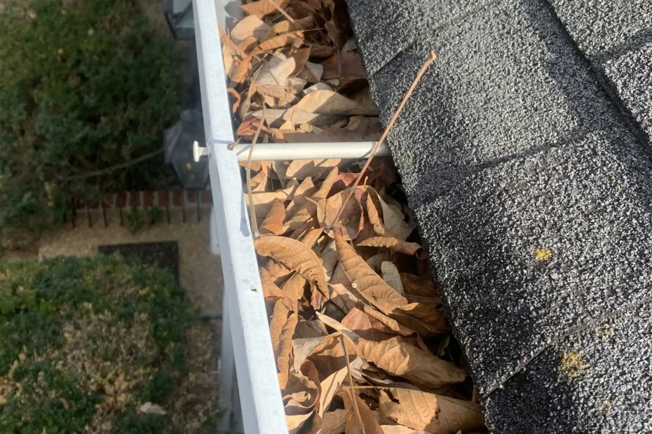 Gutter Cleaning Windsor FL