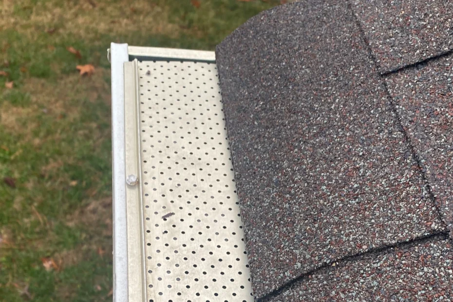 Gutter Cleaning Windsor FL