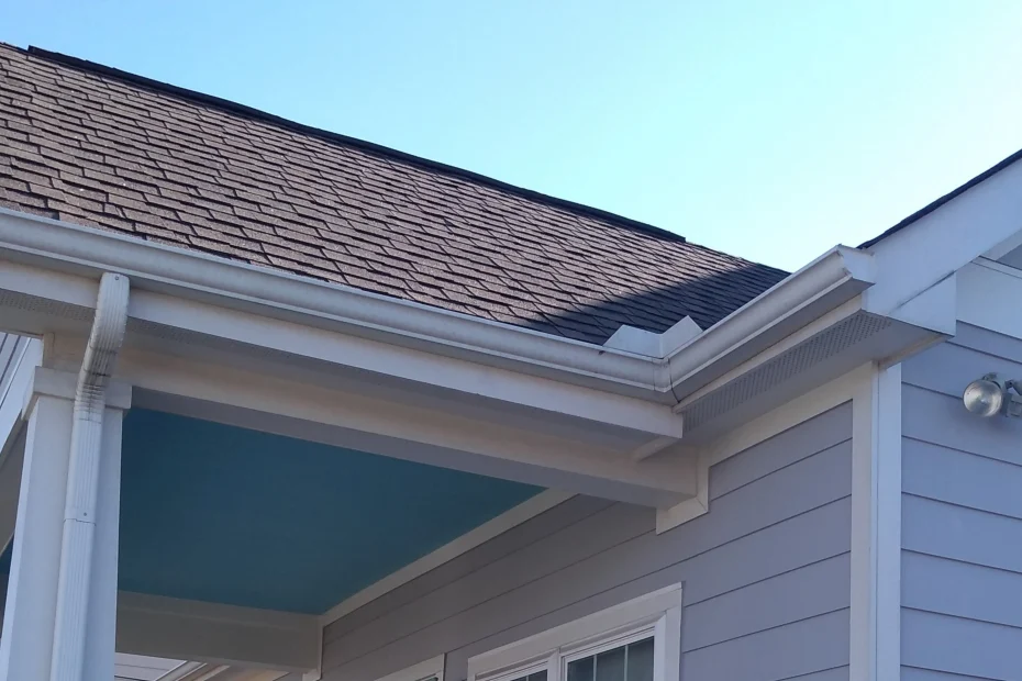 Gutter Cleaning Windsor FL