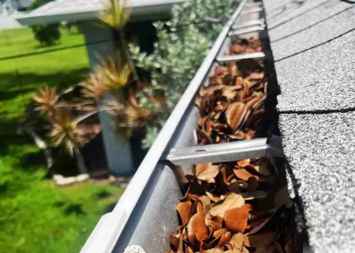 Gutter Cleaning Windsor FL home page